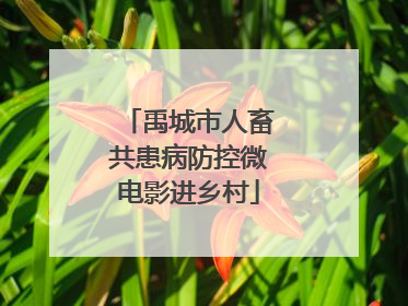 禹城市人畜共患病防控微电影进乡村