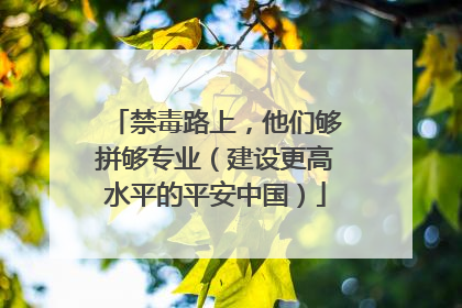 禁毒路上，他们够拼够专业（建设更高水平的平安中国）