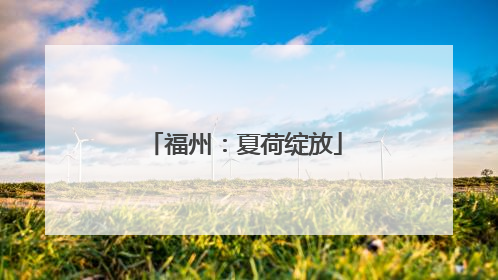 福州：夏荷绽放
