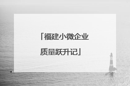 福建小微企业质量跃升记