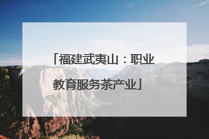 福建武夷山：职业教育服务茶产业