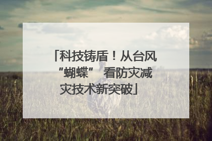 科技铸盾！从台风“蝴蝶” 看防灾减灾技术新突破