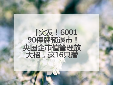 突发！600190停牌预退市！央国企市值管理放大招，这16只潜力股要火？