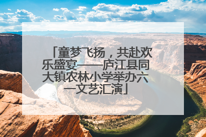 童梦飞扬，共赴欢乐盛宴——庐江县同大镇农林小学举办六一文艺汇演