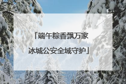 端午粽香飘万家 冰城公安全域守护