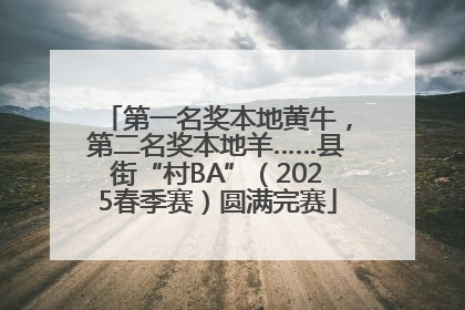 第一名奖本地黄牛，第二名奖本地羊……县街“村BA”（2025春季赛）圆满完赛