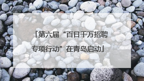 第六届“百日千万招聘专项行动”在青岛启动