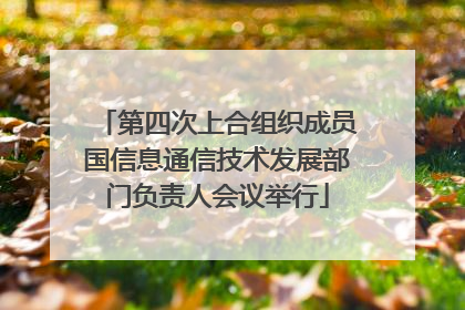 第四次上合组织成员国信息通信技术发展部门负责人会议举行