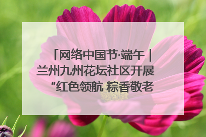 网络中国节·端午｜兰州九州花坛社区开展“红色领航 粽香敬老”端午主题活动