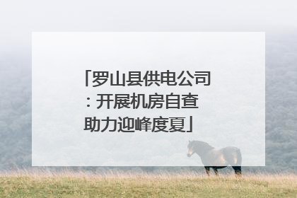 罗山县供电公司：开展机房自查 助力迎峰度夏