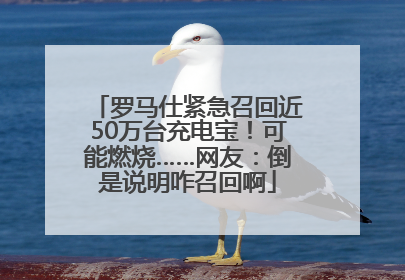 罗马仕紧急召回近50万台充电宝！可能燃烧……网友：倒是说明咋召回啊