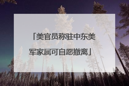 美官员称驻中东美军家属可自愿撤离