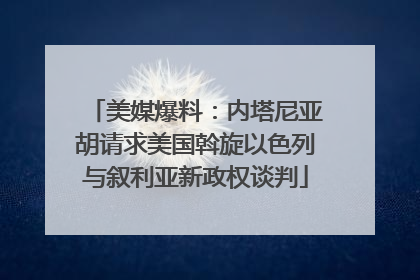 美媒爆料：内塔尼亚胡请求美国斡旋以色列与叙利亚新政权谈判