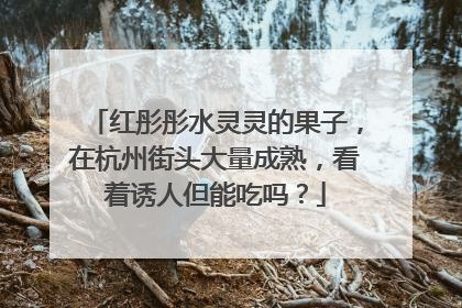 红彤彤水灵灵的果子，在杭州街头大量成熟，看着诱人但能吃吗？