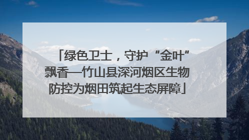 绿色卫士，守护“金叶”飘香—竹山县深河烟区生物防控为烟田筑起生态屏障