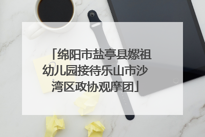 绵阳市盐亭县嫘祖幼儿园接待乐山市沙湾区政协观摩团