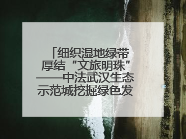细织湿地绿带 厚结“文旅明珠”——中法武汉生态示范城挖掘绿色发展新动能