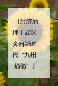 经济地理丨武汉奔向新时代“九州通衢”