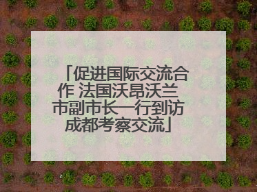 促进国际交流合作 法国沃昂沃兰市副市长一行到访成都考察交流