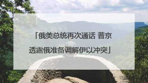 俄美总统再次通话 普京透露俄准备调解伊以冲突