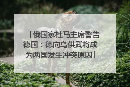 俄国家杜马主席警告德国：德向乌供武将成为两国发生冲突原因