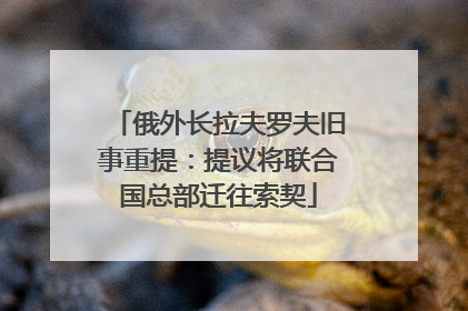 俄外长拉夫罗夫旧事重提：提议将联合国总部迁往索契