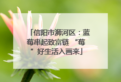 信阳市浉河区：蓝莓串起致富链 “莓”好生活入画来