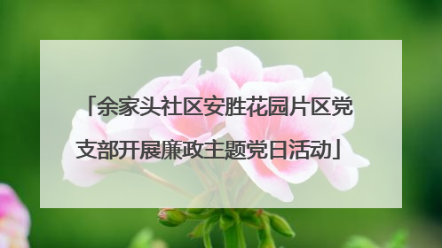 余家头社区安胜花园片区党支部开展廉政主题党日活动
