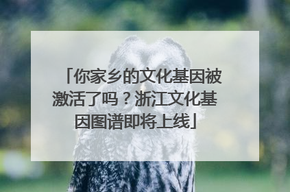 你家乡的文化基因被激活了吗？浙江文化基因图谱即将上线