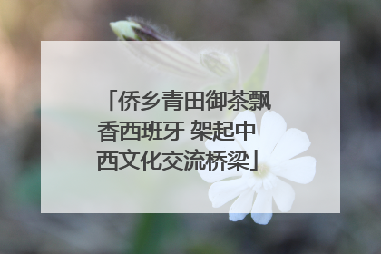 侨乡青田御茶飘香西班牙 架起中西文化交流桥梁