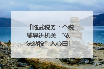 临武税务：个税辅导进机关 “依法纳税”入心田