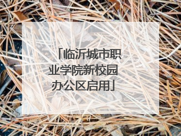 临沂城市职业学院新校园办公区启用
