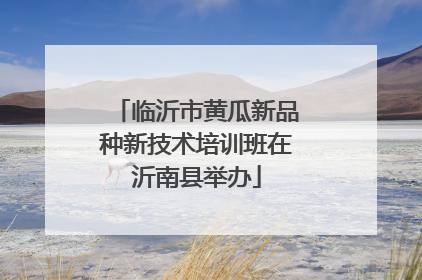 临沂市黄瓜新品种新技术培训班在沂南县举办