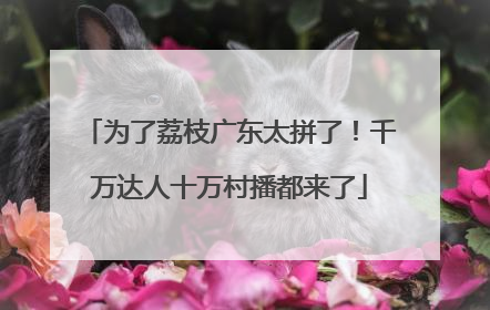 为了荔枝广东太拼了！千万达人十万村播都来了