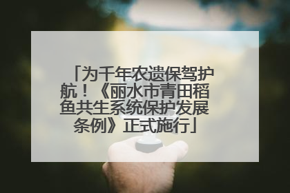 为千年农遗保驾护航！《丽水市青田稻鱼共生系统保护发展条例》正式施行