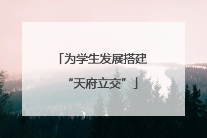 为学生发展搭建“天府立交”