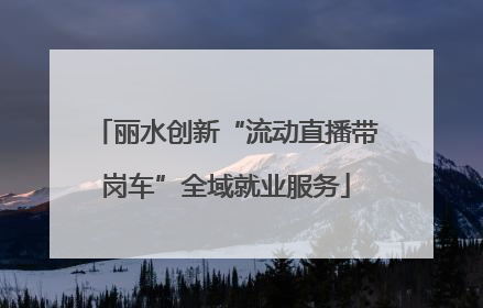 丽水创新“流动直播带岗车”全域就业服务