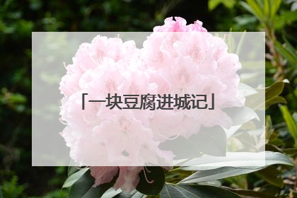 一块豆腐进城记