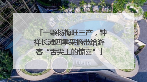 一颗杨梅旺三产，钟祥长滩四季采摘带给游客“舌尖上的惊喜”
