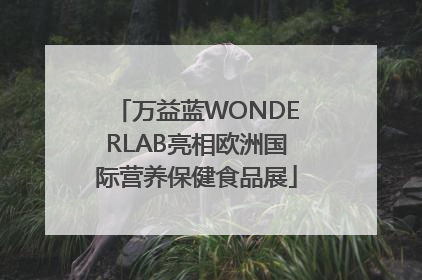 万益蓝WONDERLAB亮相欧洲国际营养保健食品展