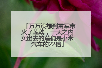 万万没想到雷军带火了莲藕，一天之内卖出去的莲藕是小米汽车的22倍
