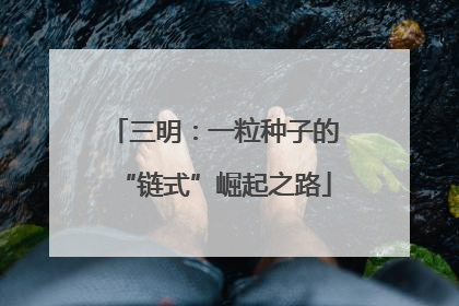 三明：一粒种子的“链式”崛起之路