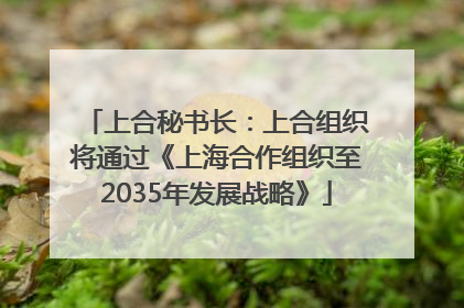 上合秘书长：上合组织将通过《上海合作组织至2035年发展战略》