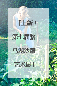 上新！第七届骆马湖沙雕艺术展