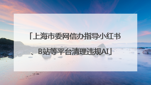 上海市委网信办指导小红书、B站等平台清理违规AI