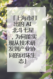 上海市打出的 AI 北斗七星，为何能实现从技术研发到产业协同的闭环生态