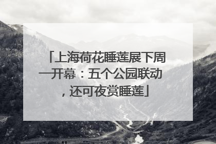 上海荷花睡莲展下周一开幕：五个公园联动，还可夜赏睡莲