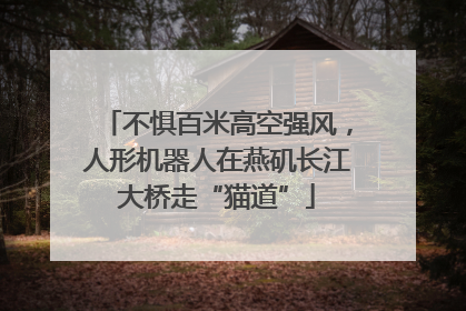 不惧百米高空强风，人形机器人在燕矶长江大桥走“猫道”
