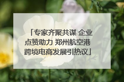 专家齐聚共谋 企业点赞助力 郑州航空港跨境电商发展引热议