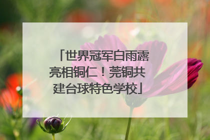世界冠军白雨露亮相铜仁!莞铜共建台球特色学校